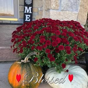 Meet your Posher, Therese